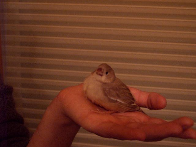 Photo 003.jpg