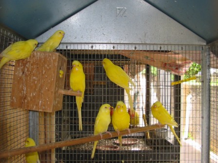 ondulÃ©e 01.jpg