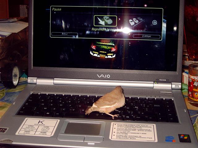 Photo 009.jpg