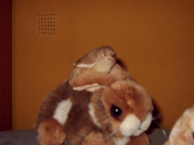 Photo 008.jpg