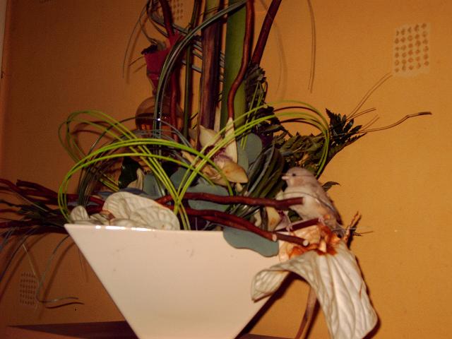 Photo 007.jpg
