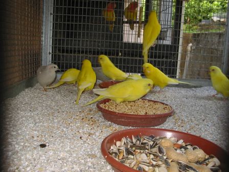 ondulÃ©es 05.jpg