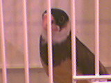 photo004.jpg