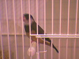 photo003.jpg
