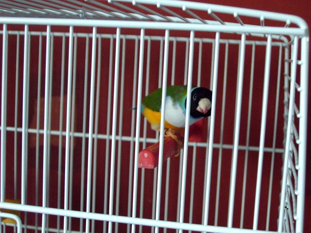 Photo 011.jpg