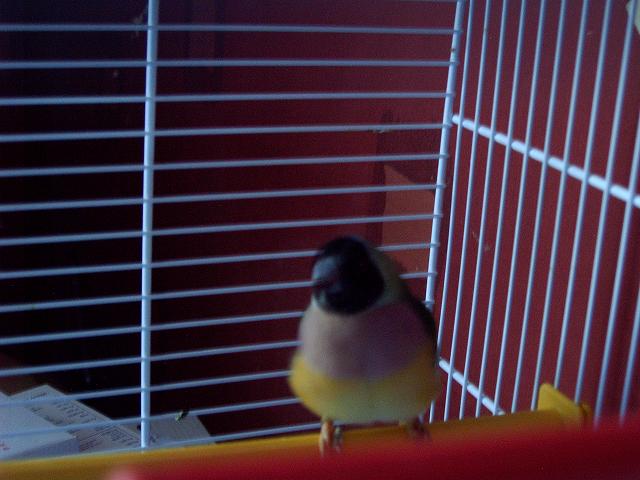 Photo 010.jpg