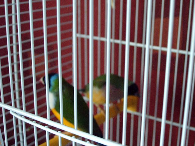 Photo 012.jpg