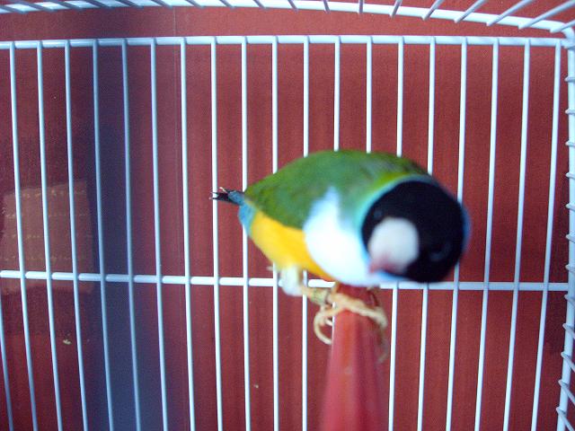Photo 014.jpg