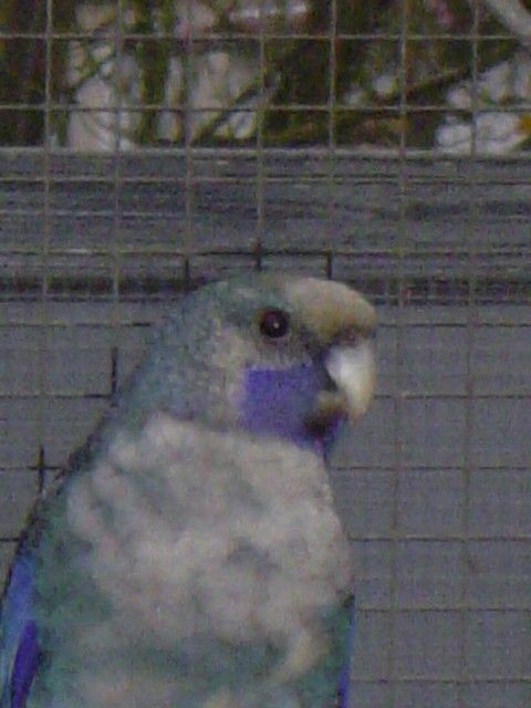 DSC00884.jpg