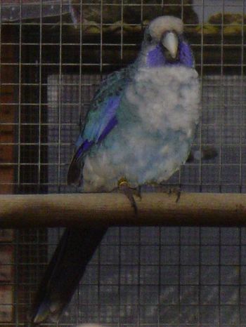 DSC00878.jpg