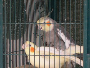DSCN0070.jpg