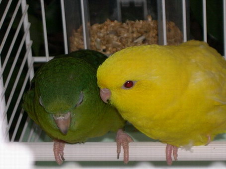 DSCN0001.jpg