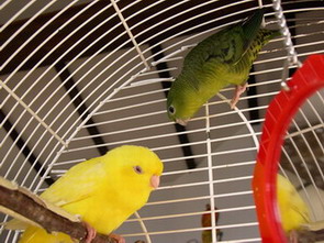 DSCN0008.jpg