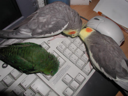 P1010033.jpg