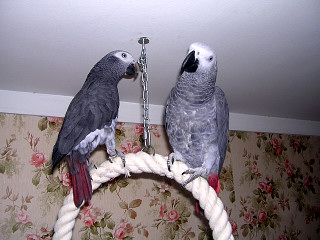 Photo 010.jpg