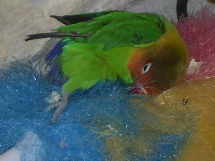 DSCN0002.jpg