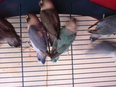 DSCN2714.jpg