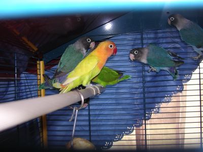 DSCN2353.jpg
