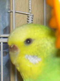 PICT0098m.jpg
