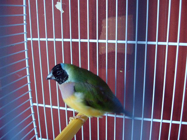 Photo 013.jpg