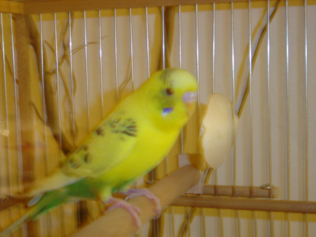 DSC00227.JPG