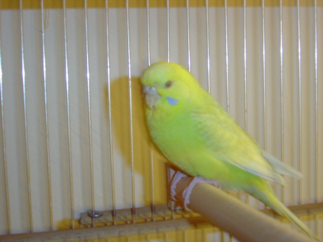 DSC00226.JPG