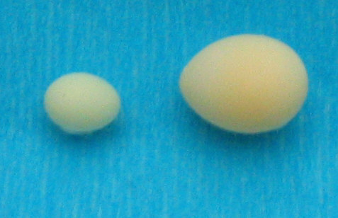178_7887.JPG