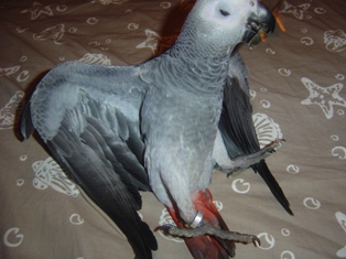 nina5.JPG