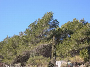 DSCN0005.jpg