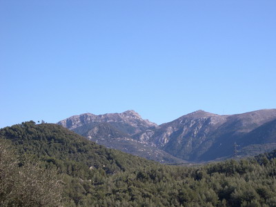 DSCN0003.jpg
