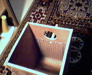 Photo 4.jpg