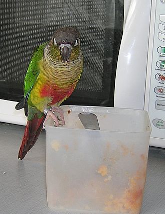 tuper.jpg