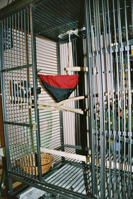imm017_18.jpg