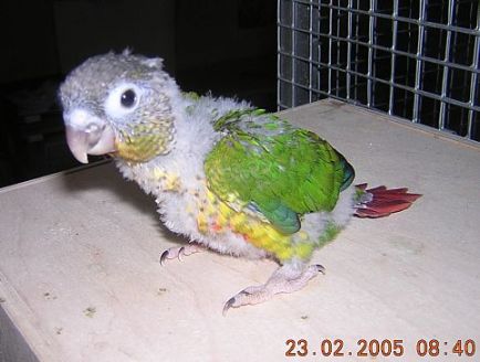 bebegrand2.jpg