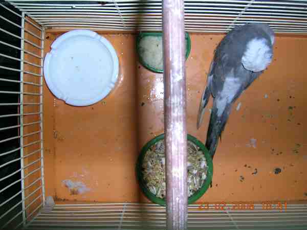 DSCN0747.jpg
