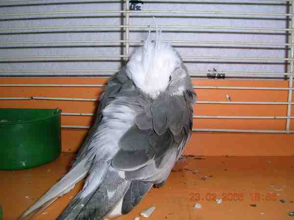 DSCN0746.jpg