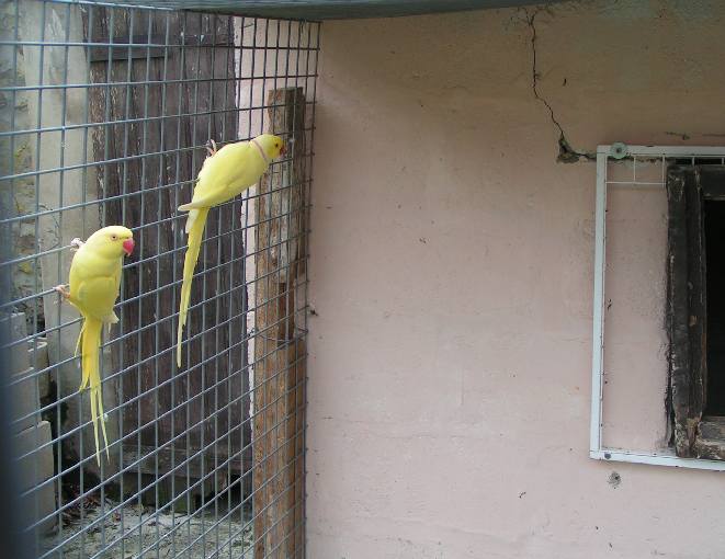 Pic135.jpg