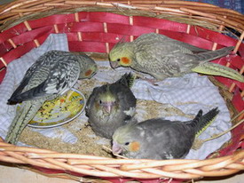 DSCN0020.jpg