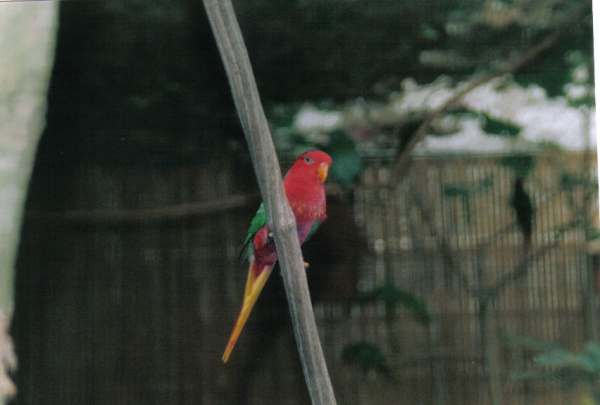 beauval14r.jpg