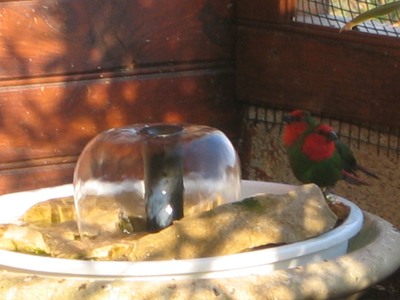 fontaine.jpg