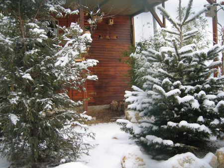 neige3.jpg