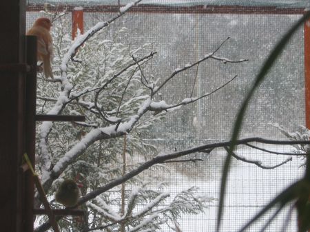 neige2.jpg