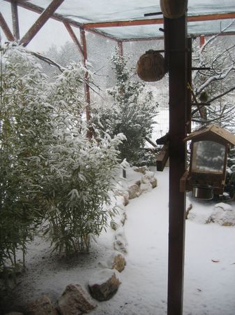 neige.jpg