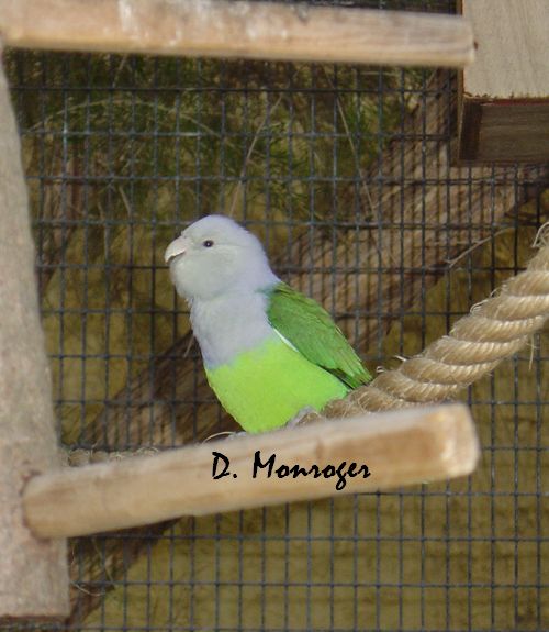 Loro Parque 1.jpg