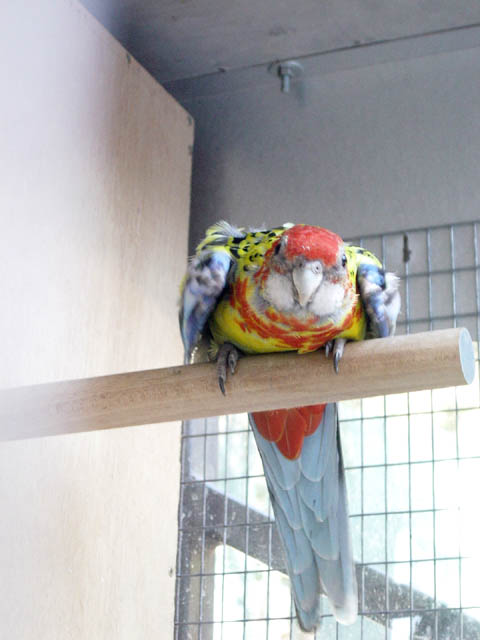Omnis_009.jpg