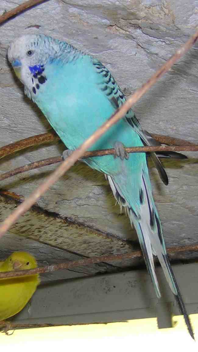 DSCN1091.jpg