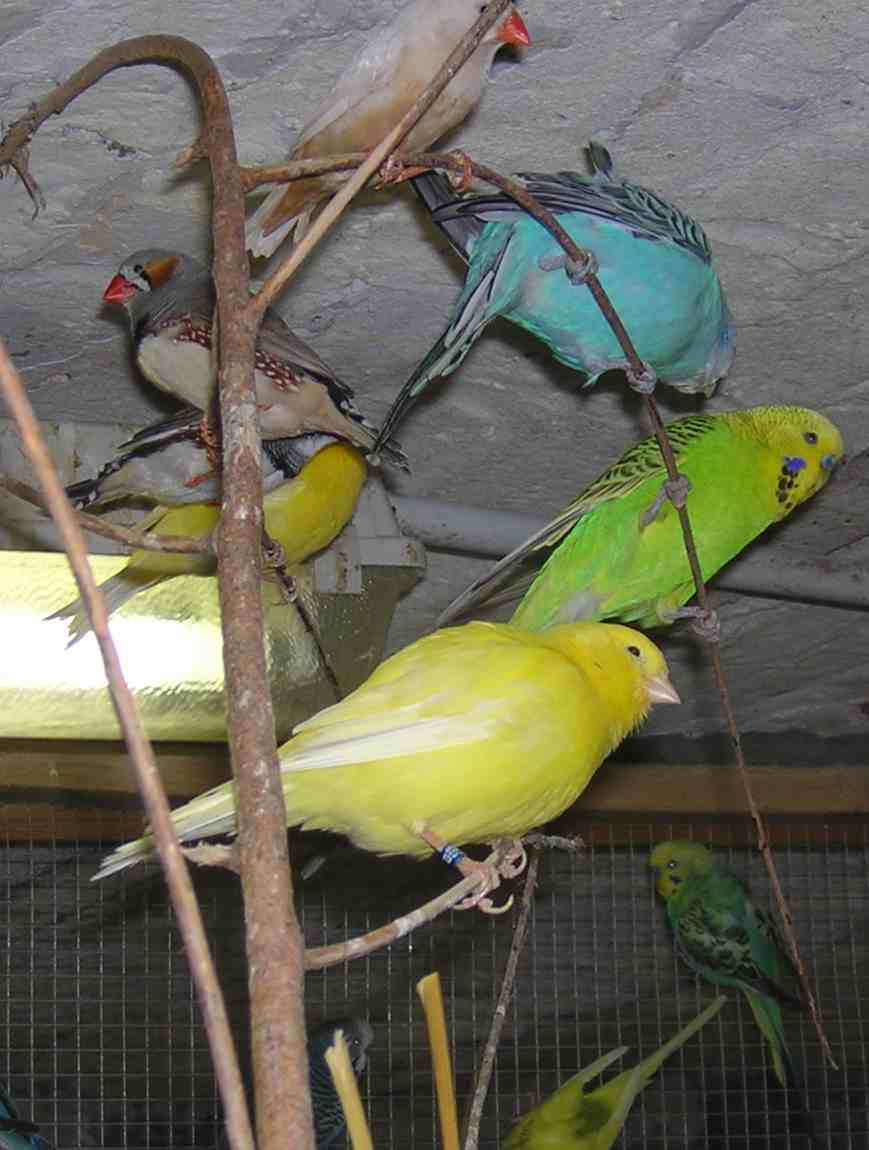 DSCN1087.jpg