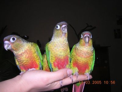 Dscn2859.jpg