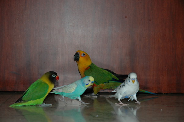 12Img2004-12-25-23.01.15_redimensionner.JPG