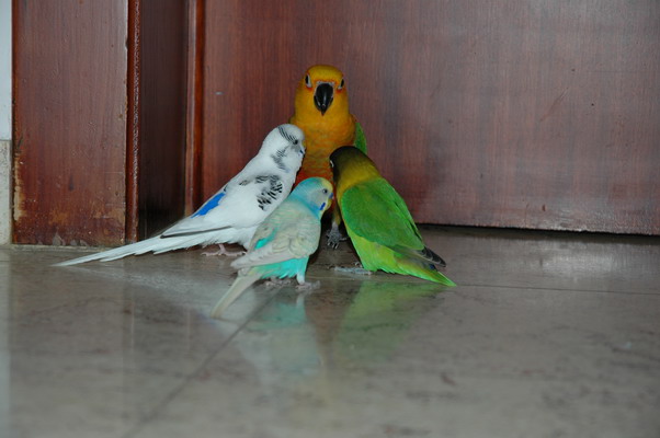 11Img2004-12-25-23.01.01_redimensionner.JPG